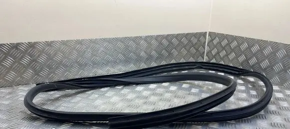 Ford Grand C-MAX Front door rubber seal
