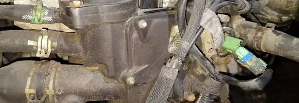Peugeot 307 Engine coolant pipe/hose 