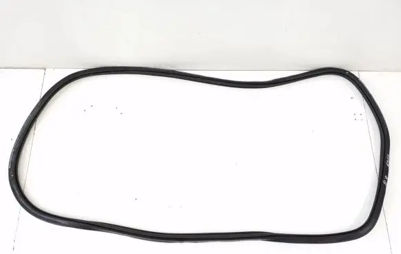 Rear door rubber seal (on body)
