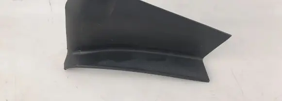 Rear/tail light trim molding