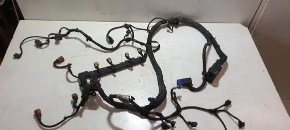 Engine installation wiring loom