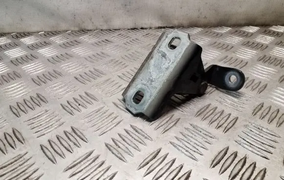 Opel Insignia A Front door lower hinge ES03A046574