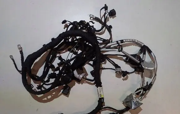Engine installation wiring loom