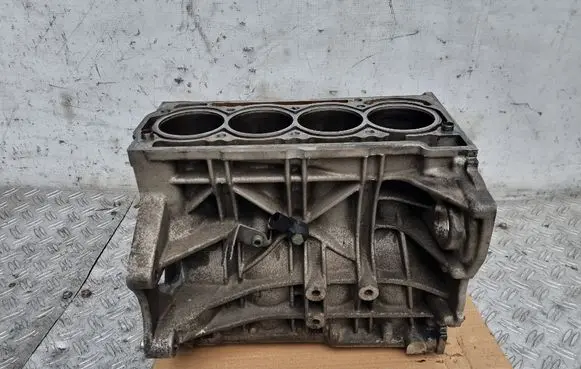 Volkswagen Golf Plus Engine block 03C103019