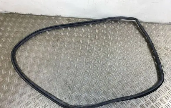 Toyota C-HR I Rear door rubber seal (on body) 