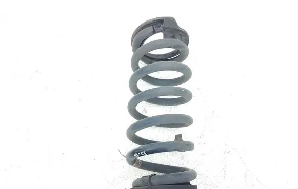 Ford Edge II Rear coil spring F2GC5560 F2GC5560FND Q48PA