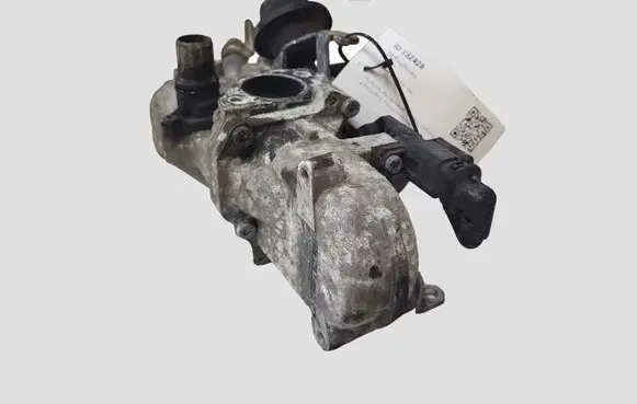 Citroen C4 II EGR valve 5056390200 702209040
