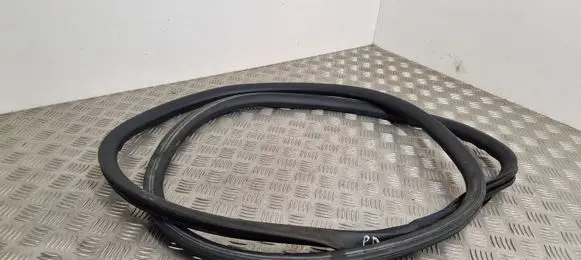 Peugeot Expert Front door rubber seal 