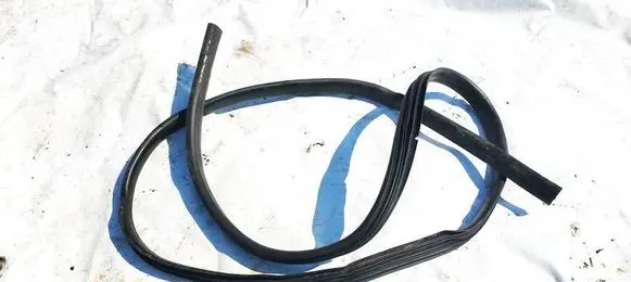 Dacia Sandero Rubber seal rear door