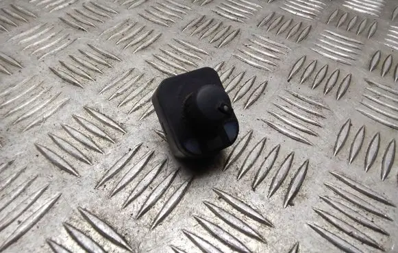Wing mirror switch