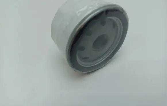 Aixam Scouty Oil filter cover SO6099 020301 K158413243