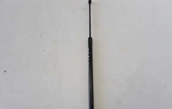 Tailgate strut