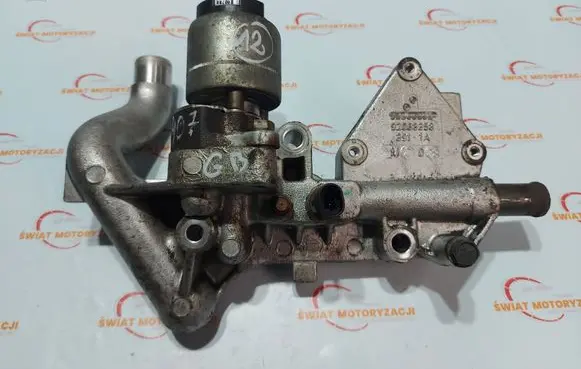Chevrolet Captiva EGR valve 92068358