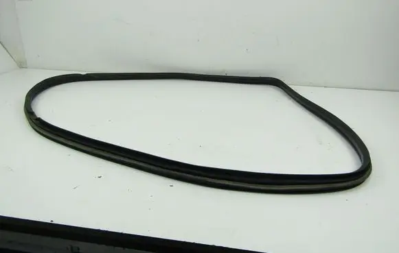 Fiat Punto (199) Rear door rubber seal (on body) 