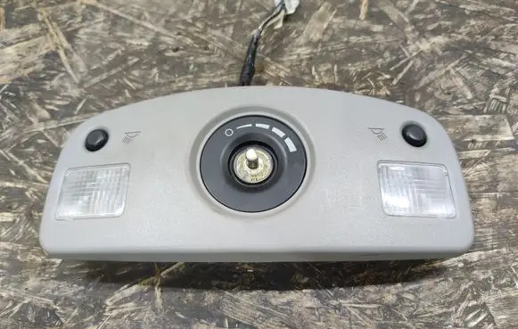 Cadillac SRX Rear seat light 2281068