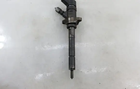 Peugeot Partner Fuel injector 0445110239