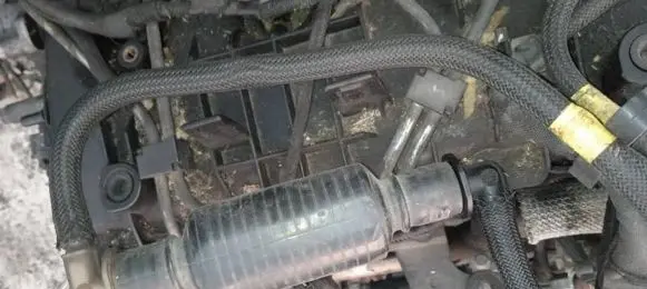 Peugeot 206 Mechanical fuel pump 
