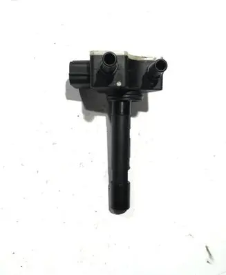 Nissan Qashqai Fuel filter heater F30010000