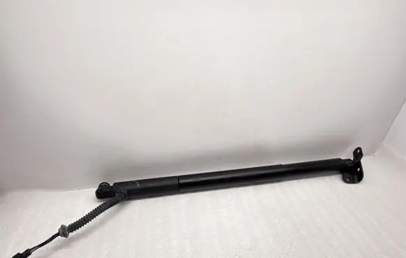 Tailgate/trunk strut/damper