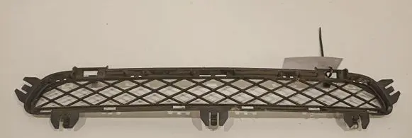 BMW X3 F25 Front bumper lower grill 51117210466