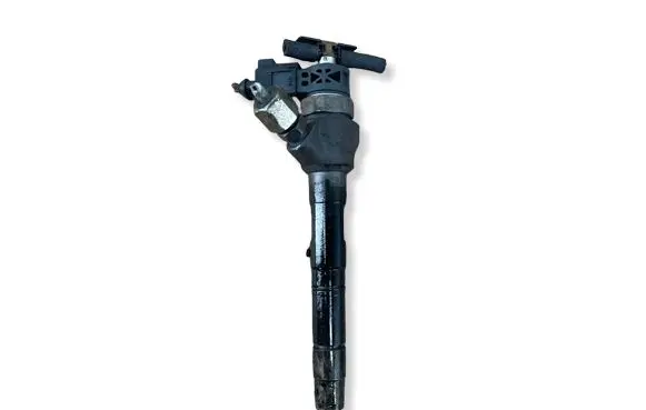 Volkswagen PASSAT B7 Fuel injector 0986435166