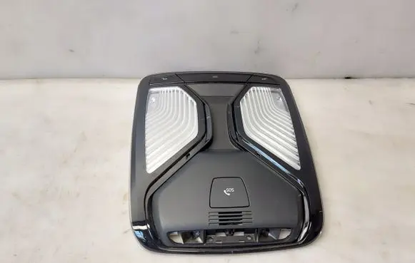 BMW X5 G05 Front seat light 5A2516001