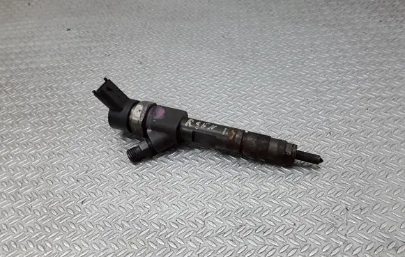 Renault Espace - Grand espace IV Fuel injector 0445110110B