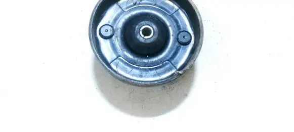 Coil spring mount