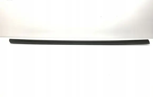 Tesla Model Y Door glass trim 149571100D