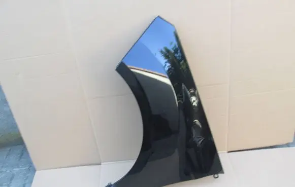 Ford Ecosport Fender CN15N16016AC