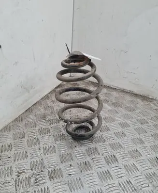 Volkswagen PASSAT B5.5 Rear coil spring