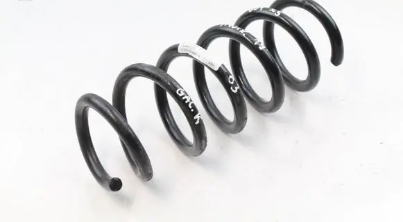 Rear coil spring