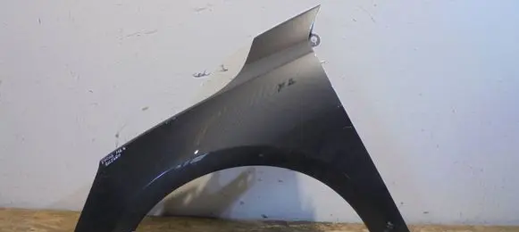 Ford Focus Fender