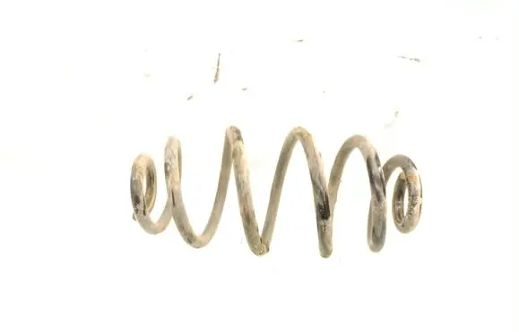Rear coil spring
