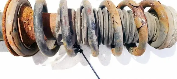 Peugeot 407 Rear coil spring 