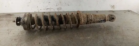 Volvo S40, V40 Rear shock absorber with coil spring 