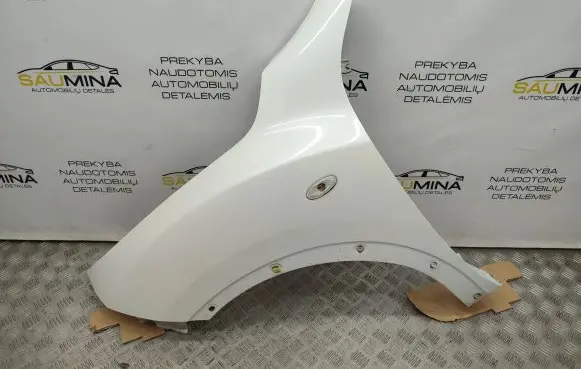 Nissan Juke I F15 Fender