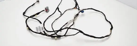 Dodge RAM 1500 DR Other wiring loom AHGD297729498 L0025093AE