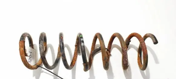 Ford Focus Rear coil spring