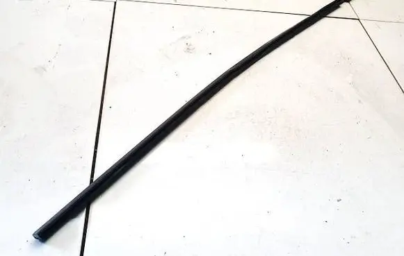 Citroen C5 Front door glass trim molding 