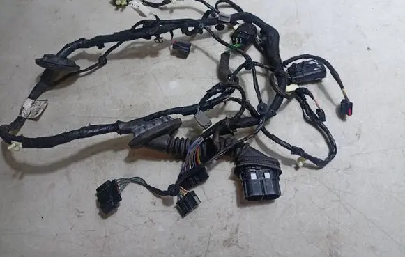 Rear door wiring loom