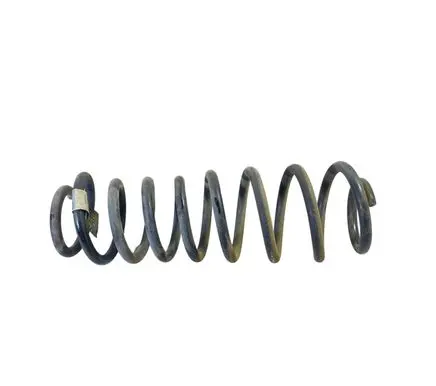 Ford Mustang V Rear coil spring BR335560AB
