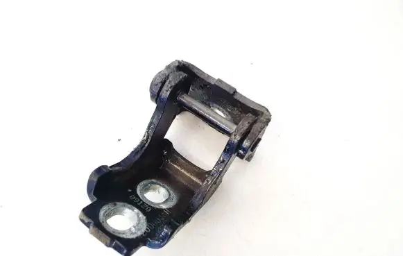 Renault Scenic III - Grand scenic III Rear door lower hinge 804200003