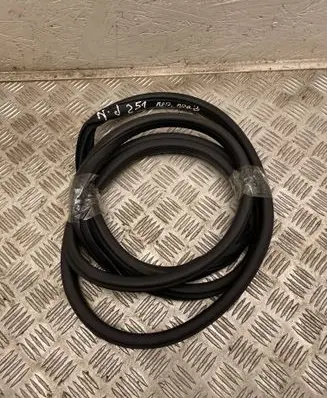 Nissan Juke I F15 Front door rubber seal 
