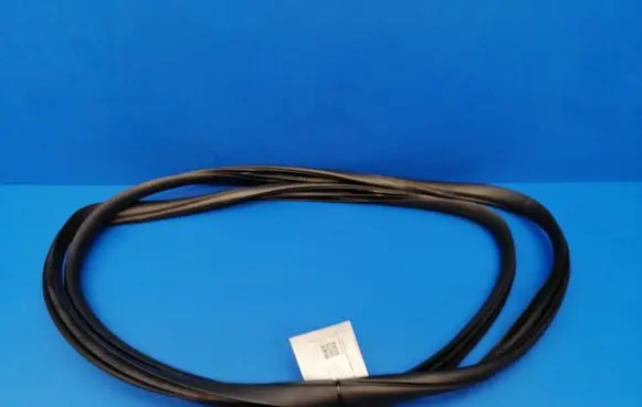 Nissan Note (E11) Rear door rubber seal (on body) 