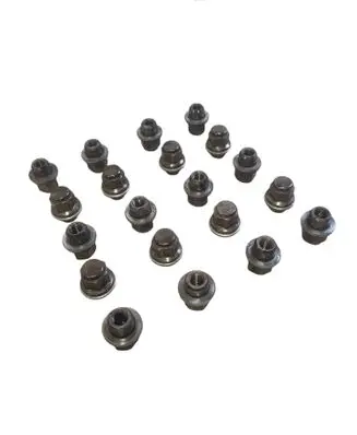 Toyota RAV 4 (XA50) Wheel nut cap/cover 