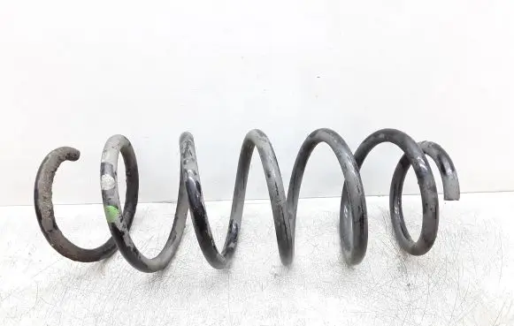 Rear coil spring