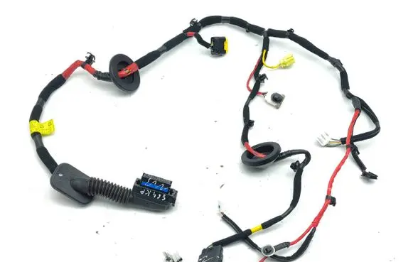Hyundai Ioniq Front door wiring loom 91615 G2800