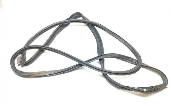 Renault Kadjar Rubber seal front door (on door) 