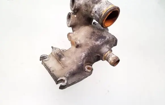 Thermostat/thermostat housing